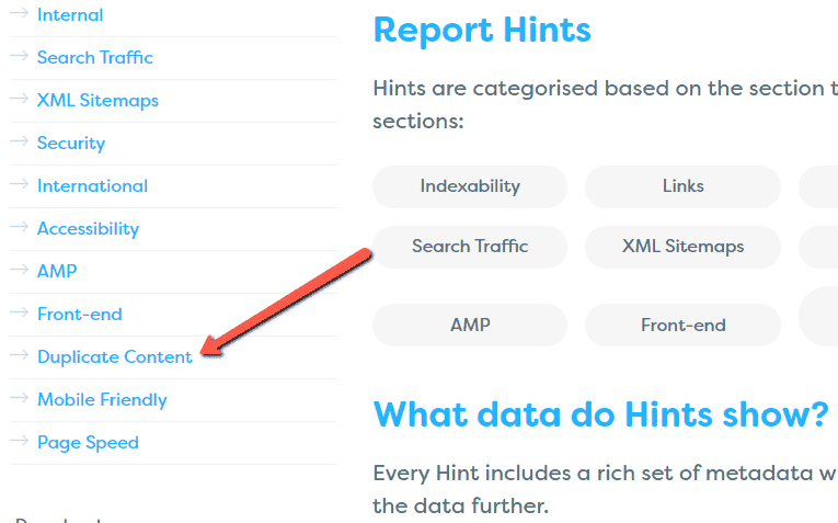 Duplicate Content Hints